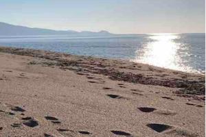 Casa a Baia delle mimose a 70 metri dal mare