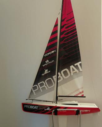 Barca vela RC modellino telecomando turnigy