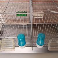 Gabbia accoppiamento