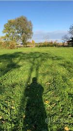 Vendita terreno in via Torondin