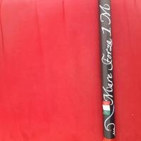 Canna pesca surfcasting