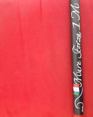 Canna pesca surfcasting