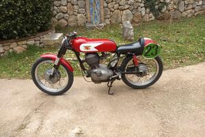 Morini 175