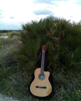 CHITARRE EKO E BASSO GRETSCH