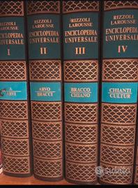 Enciclopedia Rizzoli Larousse 15 volumi
