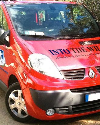 Renault Trafic II 2009 - 9 posti
