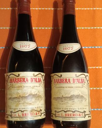 Barbera d'Alba annata 1977
