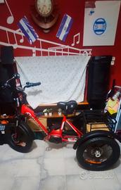 triciclo elettrico BasketBike 
