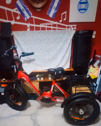 triciclo elettrico BasketBike 