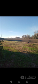 1 ettaro e mezzo di terreni attigui