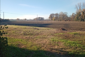 1 ettaro e mezzo di terreni attigui