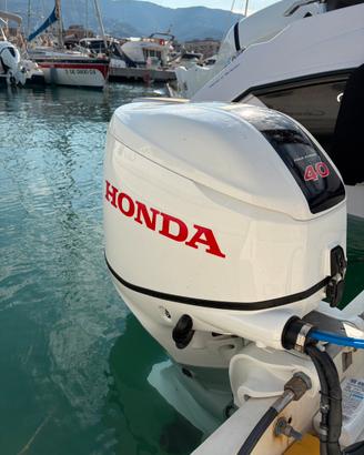 Sessa key largo 16