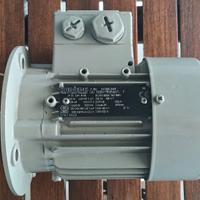 Motore elettrico trifase SIEMENS 1LA7060-2AA11