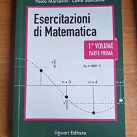 Esercitazioni di matematica