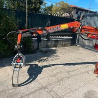 A161 BRACCIO CON PINZA FORESTALE - GRU
