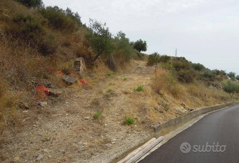 Immobile in asta di 4174 m² a Pompeiana - Altro