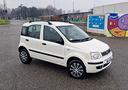 fiat-panda-1-2-neopatentati-oki-su-appuntamento-