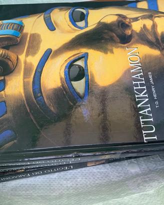 4 libri monografici antico egitto