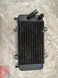 radiatore piaggio Quartz 50 