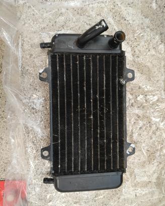 radiatore piaggio Quartz 50 