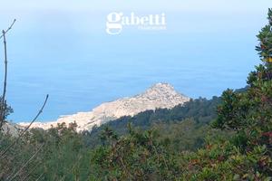 Panoramico terreno agricolo TERC/12