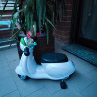 cavalcabile vespa