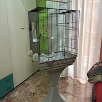 Gabbia per pappagalli