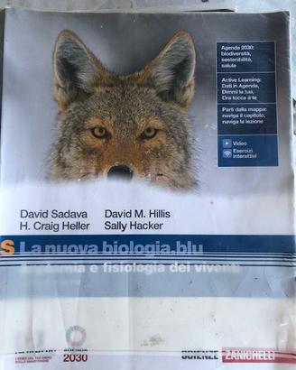 libri Triennio e 5^ anno liceo linguistico
