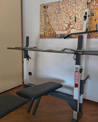 palestra wider pro 435