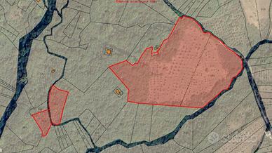 Terreno di 3,5 HA ca con fabbricato rurale | TR313