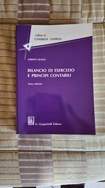 Bilancio di Esercizio e Principi Contabili