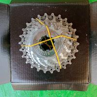 Pacco pignoni Campagnolo 10v
