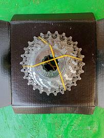 Pacco pignoni Campagnolo 10v