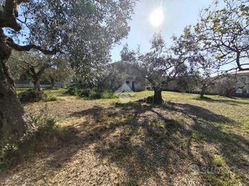 TER. RESIDENZIALE A PESCARA