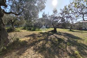 TER. RESIDENZIALE A PESCARA