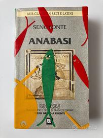 Libro Anabasi Italo Calvino testo greco Senofonte