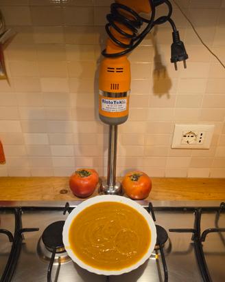 Mixer Immersione Amitek Cucina