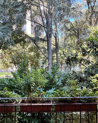 Appartamento di 67 m² con 3 locali a Sesto San Gio