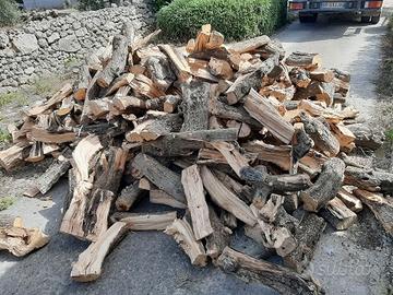 legna di ulivo 
