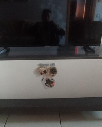 Mobile tv