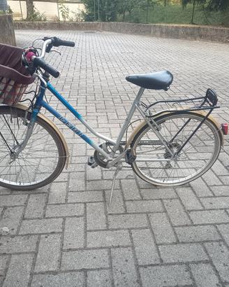 bicicletta da ragazza 