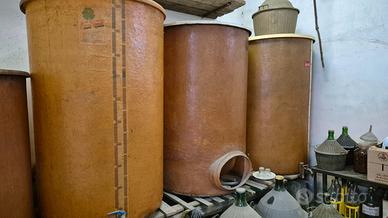 BOTTI VETRORESINA VINO RACCOLTA UVA
