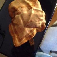 Alviero Martini foulard prima classe