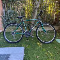 Bici mtb ruote 26 pollici cambio Shimano