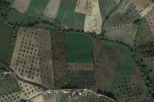 Terreno Agricolo - Notaresco