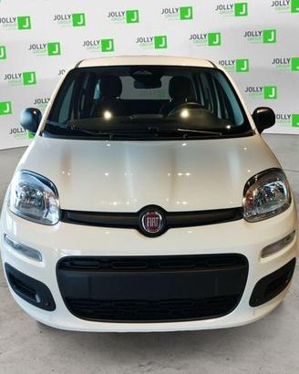FIAT Panda NEW My25 1.0 70cv Hybrid