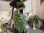 Immagine 20