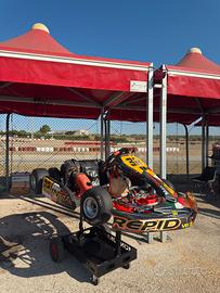 Go kart intrepid 60 mini motore TM