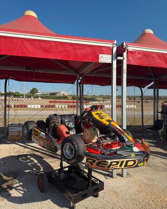 Go kart intrepid 60 mini motore TM