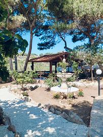 Vacanze oasi lampedusa